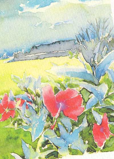 ハイビスカス [ 沖縄 中城城跡 ] ( 南国 晩夏 グスク 水彩画 風景画 ) ★当店オリジナル★