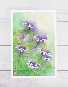 山紫陽花  ( アジサイ あじさい 紫陽花 水彩画 風景画 ) ★当店オリジナル★