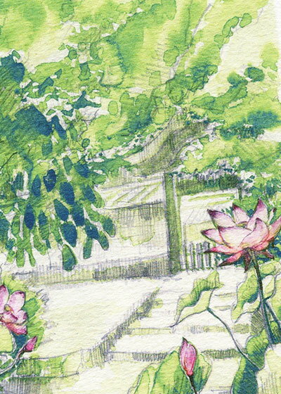 戒壇の蓮 [ 唐招提寺 ] ( はす 水彩画 風景画 ) ★当店オリジナル★
