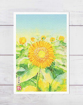 ひまわり ( 夏 向日葵 花 暑中見舞い 残暑見舞い 水彩画 風景画 ) ★当店オリジナル★のサムネイル