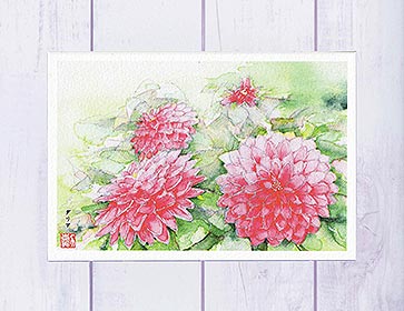 ダリア ( ピンク色 水彩画 風景画 )★当店オリジナル★