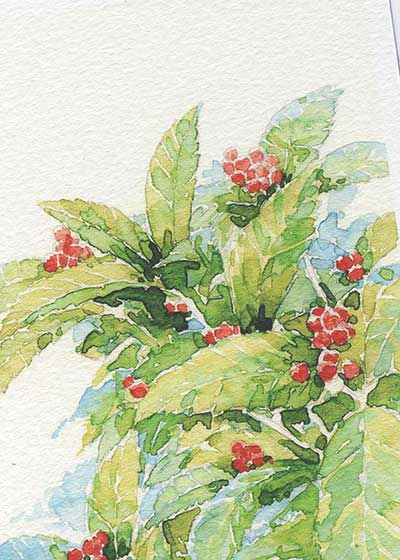 千両 ( せんりょう 仙蓼 水彩画 )★当店オリジナル★