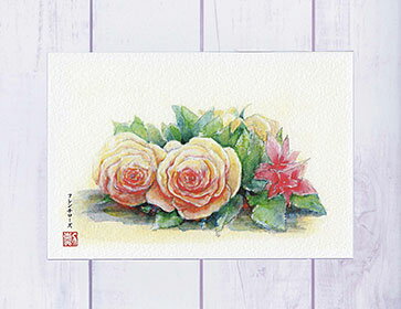 四季の花 フレンチローズ [ フレンチレース アイボリーホワイト ]　( ポストカード 絵葉書 絵はがき 花 薔薇 バラ ローズ 春 夏 秋 冬 クリスマスカード 水彩画 )