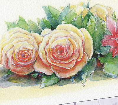 四季の花 フレンチローズ [ フレンチレース アイボリーホワイト ]　( ポストカード 絵葉書 絵はがき 花 薔薇 バラ ローズ 春 夏 秋 冬 クリスマスカード 水彩画 )