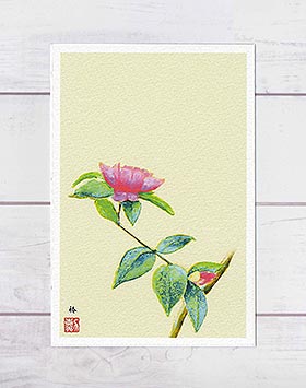 ĥХ1 (  ĤФ 䳨 ܲ ) Źꥸʥ