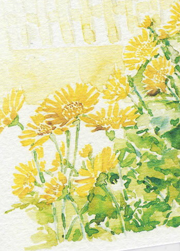 黄色小菊 ( 菊 キク 水彩画 ) ★当店オリジナル★