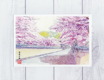 花見小路2 [ 京都の桜 ]( 春 さくら 祇園 和風 水彩画 風景画 )★当店オリジナル★