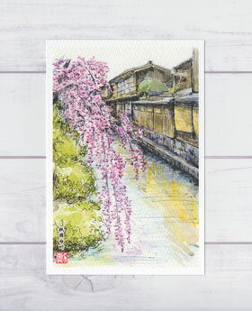 祇園白川1 [ 京都の桜 ] ( 春 祇園 白