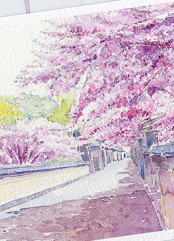 花見小路2 [ 京都の桜 ]( 春 さくら 祇園 和風 水彩画 風景画 )★当店オリジナル★