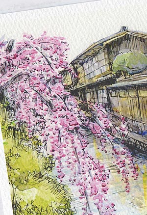 祇園白川1 [ 京都の桜 ] ( 春 祇園 白川 和風 水彩画 風景画 )★当店オリジナル★