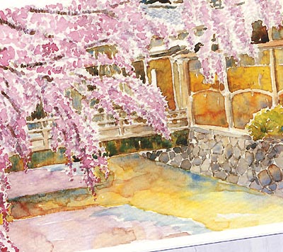 祇園白川3 [ 京都の桜 ]( 春 枝垂桜 しだれ桜 祇園 和風 水彩画 風景画 )★当店オリジナル★