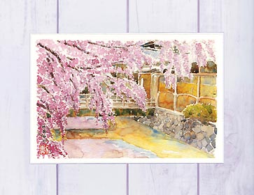 祇園白川3 [ 京都の桜 ]( 春 枝垂桜 しだれ桜 祇園 和風 水彩画 風景画 )★当店オリジナル★