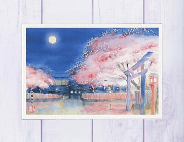 祇園白川 夜景 [ 京都の桜 ライトア