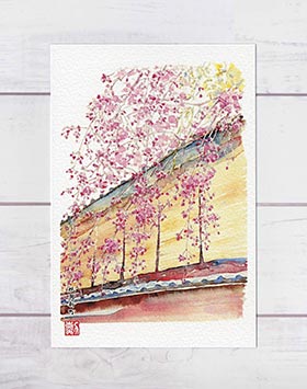 祇園新橋 [ 京都の桜 ] ( 春 さくら 枝垂桜 しだれ桜 すだれ 祇園 京都 和風 水彩画 風景画 )★当店オリジナル★