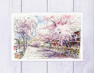 祇園白川6 [ 京都の桜 ]( 春 桜の並木