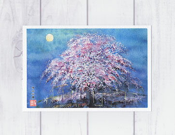 円山公園 [ 京都の桜 ライトアップ ]( 春 夜桜 さくら 八坂 京都 枝垂桜 満月 和風 水彩画 風景画 )★当店オリジナル★【 デイリーランキング 7位入賞 】のサムネイル