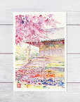 京都の桜 清水大谷本廟　( 春 さくら 花びら 花弁 花噴水 仏殿 和風 水彩画 風景画 )