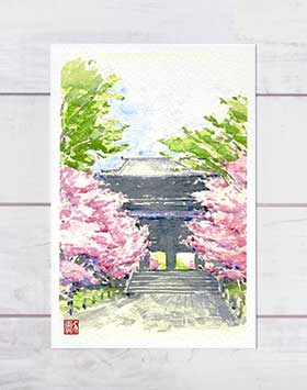 南禅寺 三門1 [ 京都の桜 ]( 春 さく