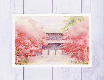 南禅寺 三門2 [ 京都の桜 ]( 春 さくら 社寺仏閣 和