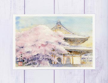 南禅寺 法堂 [ 京都の桜 ]( 春 さくら