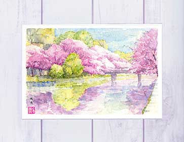 疏水2 [ 京都の桜 ]( 春 さくら 水彩