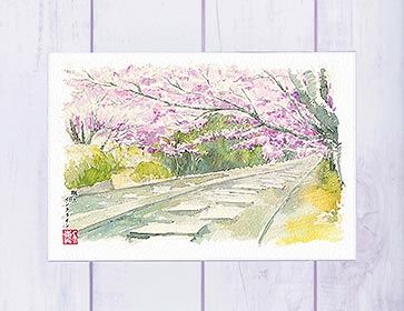 蹴上インクライン1 [ 京都の桜 ]( 春 