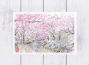 哲学の道10 [ 京都の桜 ]( 春 さくら 疏水 和風 水彩画 風景画 )★当店オリジナル★