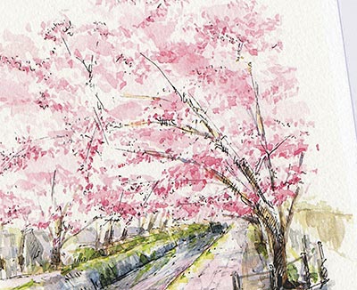 哲学の道2 [ 京都の桜 ]( 春 さくら 疏水 銀閣寺畔 和風 水彩画 風景画 )★当店オリジナル★
