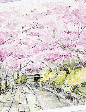 哲学の道3 [ 京都の桜 ]( 春 さくら 疏水 和風 水彩画 風景画 )★当店オリジナル★