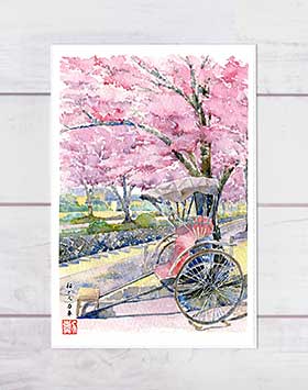 桜と人力車  ( 春 さくら 哲学の道 和風 水彩画 風景画 ) ★当店オリジナル★