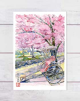 桜と人力車 [ 京都の桜 ] ( 春 さくら 哲学の道 和風 水彩画 風景画 ) ★当店オリジナル★