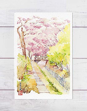 哲学の道7  ( 春 さくら 疏水 和風 水彩画 風景画 )★当店オリジナル★