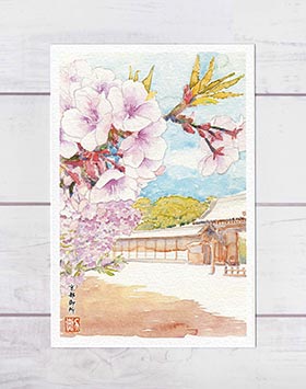 ☆ 楽天ランキング2位入賞 ☆京都御所 [ 京都の桜 ] ( 春 京都御苑 清所門 和風 お土産 水彩画 風景画 ) ★当店オリジナル★【 デイリーランキング 2位・週間ランキング 13位入賞 】のサムネイル
