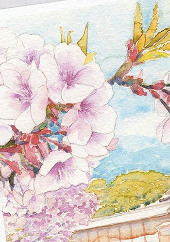 ☆ 楽天ランキング2位入賞 ☆京都御所 [ 京都の桜 ] ( 春 京都御苑 清所門 和風 お土産 水彩画 風景画 ) ★当店オリジナル★【 デイリーランキング 2位・週間ランキング 13位入賞 】