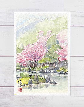 天龍寺 曹源池 [ 京都の桜 ](春 さく