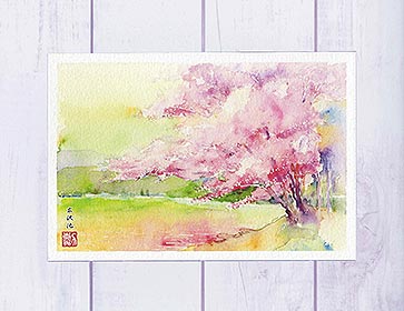 広沢池 [ 京都の桜 ] ( 春 嵯峨 嵐山 