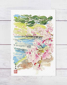 渡月橋2 [ 京都の桜 ] ( 春 さくら 嵯