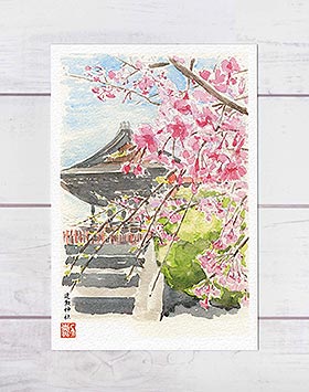 建勲神社 [ 京都の桜 ]( 春 さくら 社