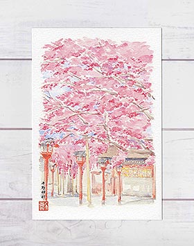 平野神社 [ 京都の桜 ]( 春 さくら 社