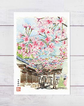 今宮神社 [ 京都の桜 ] ( 春 さくら 社寺仏閣 和風 西陣 水彩画 風景画 )★当店オリジナル★のサムネイル