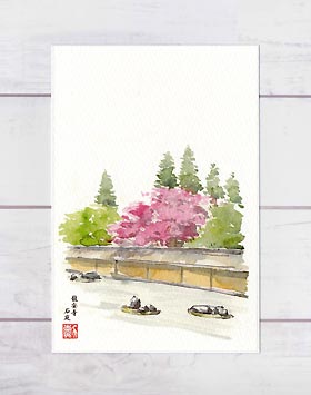 龍安寺 石庭1 [ 京都の桜 ]( 春 さく