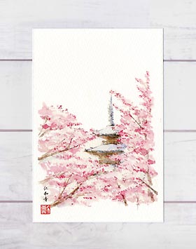 仁和寺1 [ 京都の桜 ]( 春 さくら 御