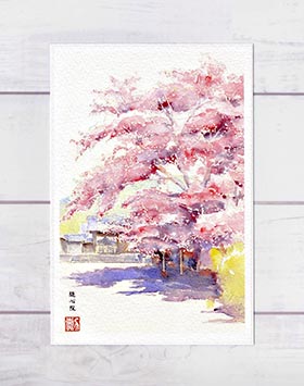 随心院 [ 京都の桜 ]( 春 さくら 小野