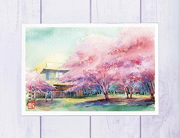 東本願寺 枳殻邸 [ 京都の桜 ]( 春 さ