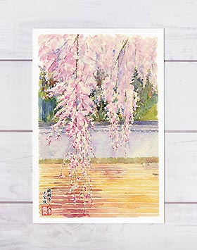 醍醐三宝院 [ 京都の桜 ] ( 春 枝垂桜 しだれ桜 桜 さくら 伏見 社寺仏閣 和風 水彩画 風景画 )★当店オリジナル★