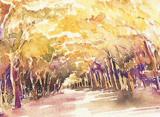 糺の森 ( 秋 樹林 下鴨 世界文化遺産 縄文 原生林 水彩画 風景画 ) ★当店オリジナル★
