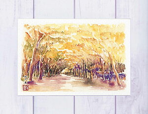 糺の森 ( 秋 樹林 下鴨 世界文化遺産 縄文 原生林 水彩画 風景画 ) ★当店オリジナル★