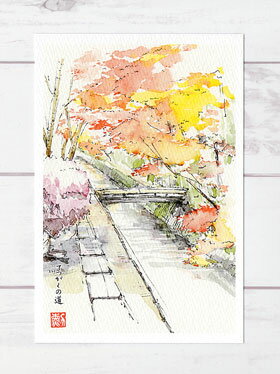 哲学の道1 [ 京都の紅葉 ] ( 秋 もみ