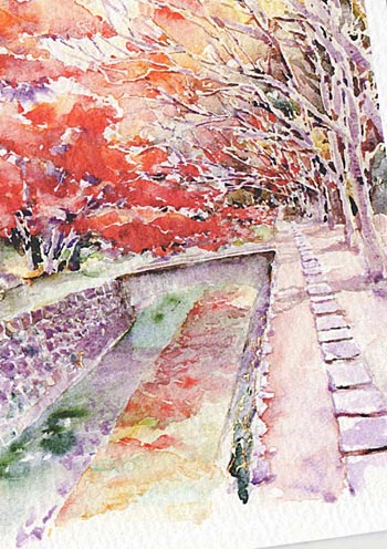 哲学の道12 [ 京都の紅葉 ] ( 秋 もみじ モミジ 和風 水彩画 風景画 )★当店オリジナル★