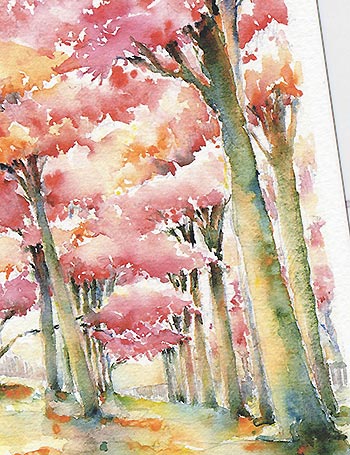 フウの並木( 秋の風景 京都市美術館 岡崎 京都 和風 水彩画 風景画 )★当店オリジナル★